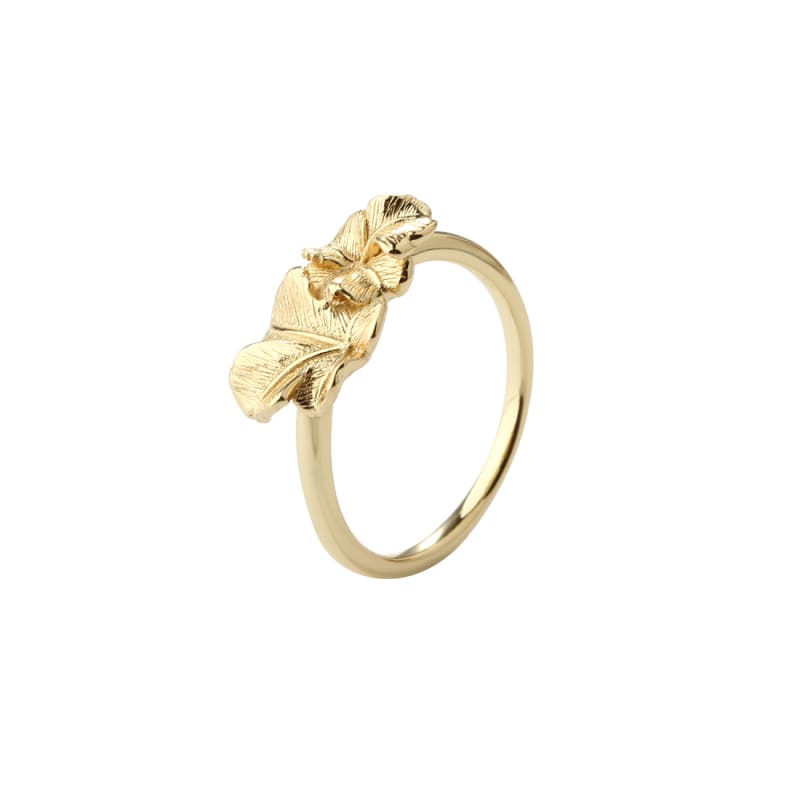 Folio Ring 54 Golden Fra Aqua Dulce