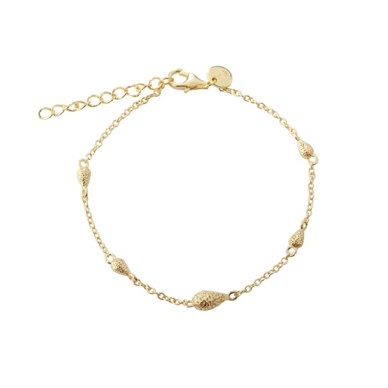 Cappa Bracelet Golden Fra Aqua Dulce