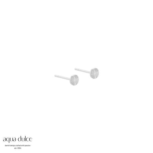 LINE COIN 4 MM. | SILVER