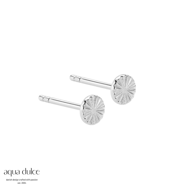 LINE COIN S  | SILVER