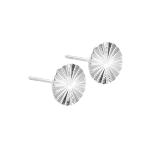 LINE COIN L  | SILVER