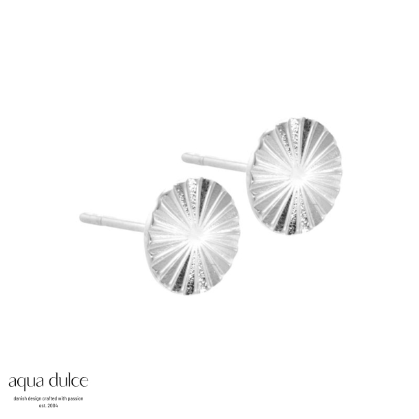 LINE COIN L  | SILVER
