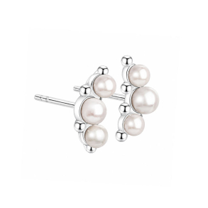 PAGE EARSTUD | SILVER