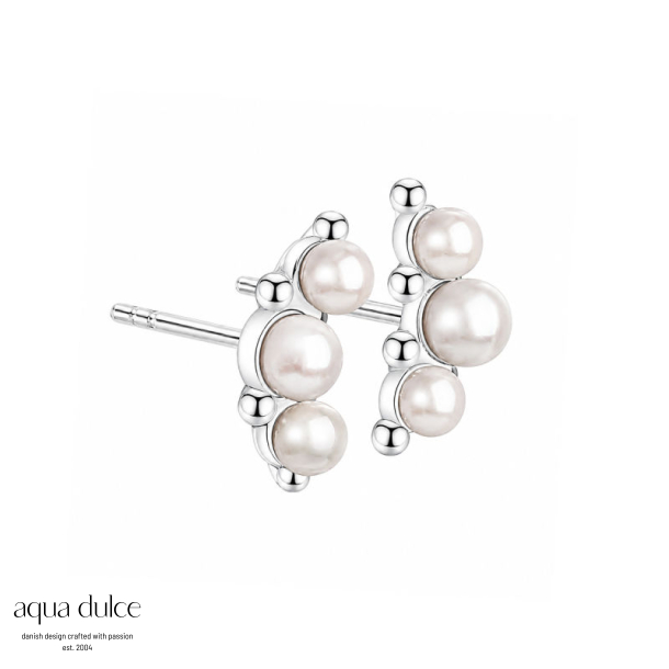 PAGE EARSTUD | SILVER