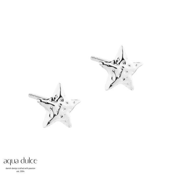 ASTRA STAR EARTHREAD | SILVER