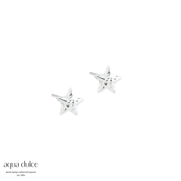 ASTRA STAR EARTHREAD | SILVER