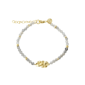 FOLIO BRACELET | GOLDEN