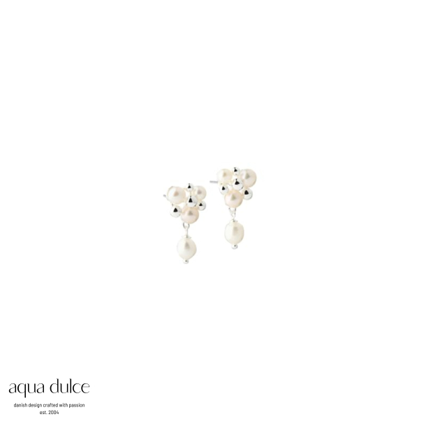 LUNELLA EARRING | SILVER