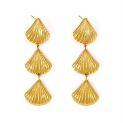BEACH SHELLS | BAY