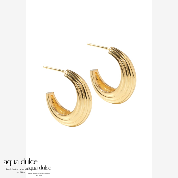 *SUE HOOP BIG | GOLDEN