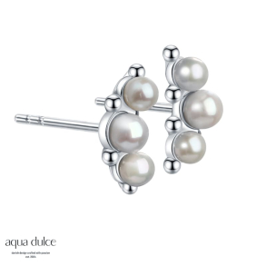 PAGE EARSTUD | SILVER