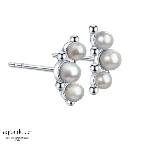 PAGE EARSTUD | SILVER