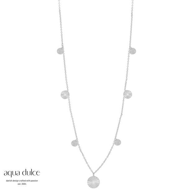 LINE COIN NECKLACE  | SILVER