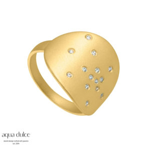 Ring | DICTE