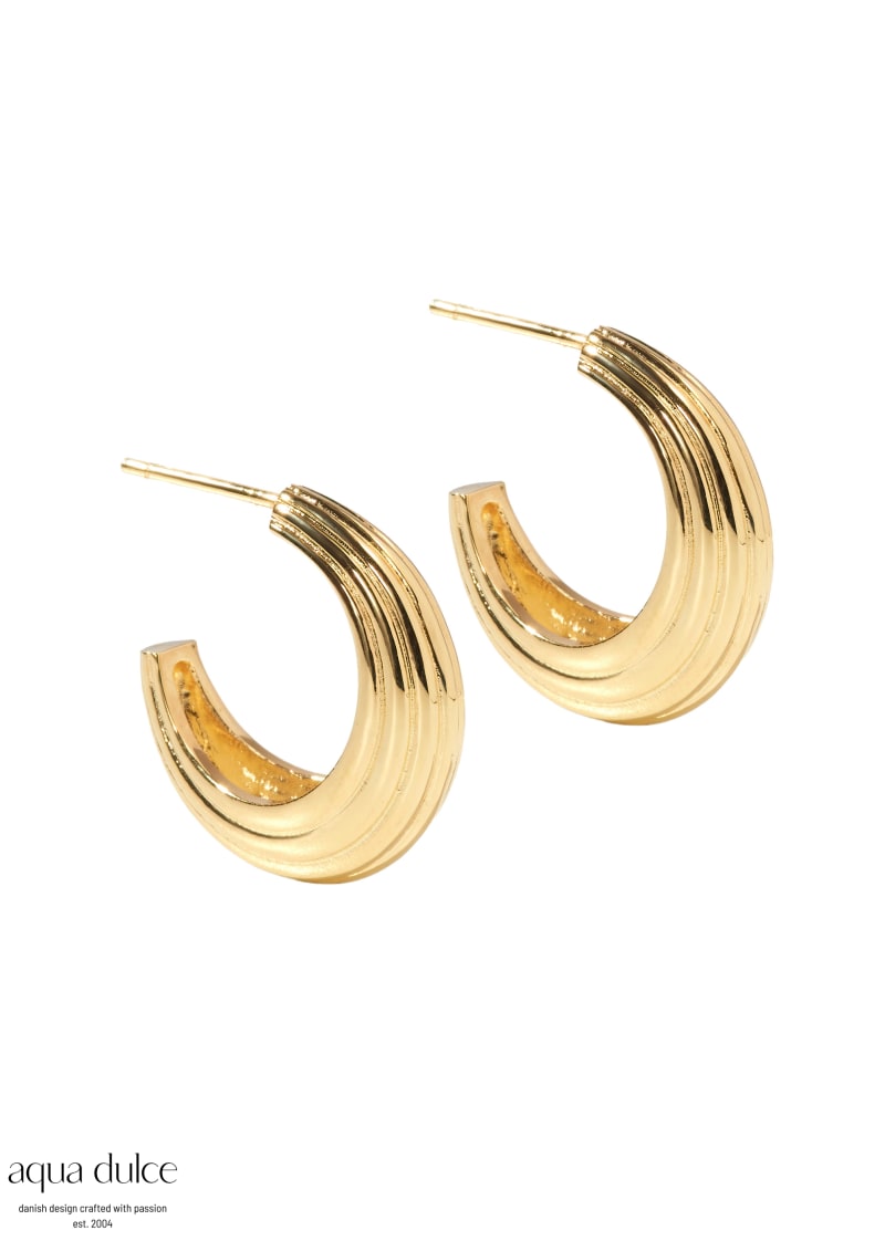 *SUE HOOP BIG | GOLDEN